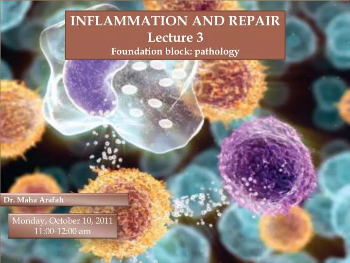 inflammation seminar presentation pdf