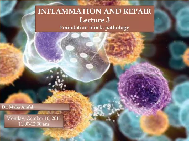PPT  Inflammation and Repair PowerPoint Presentation, free download