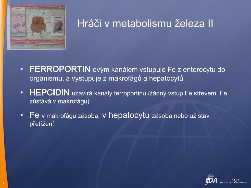 PPT - Anémie chronických onemocnění a zátěž železem PowerPoint Presentation  - ID:1451894