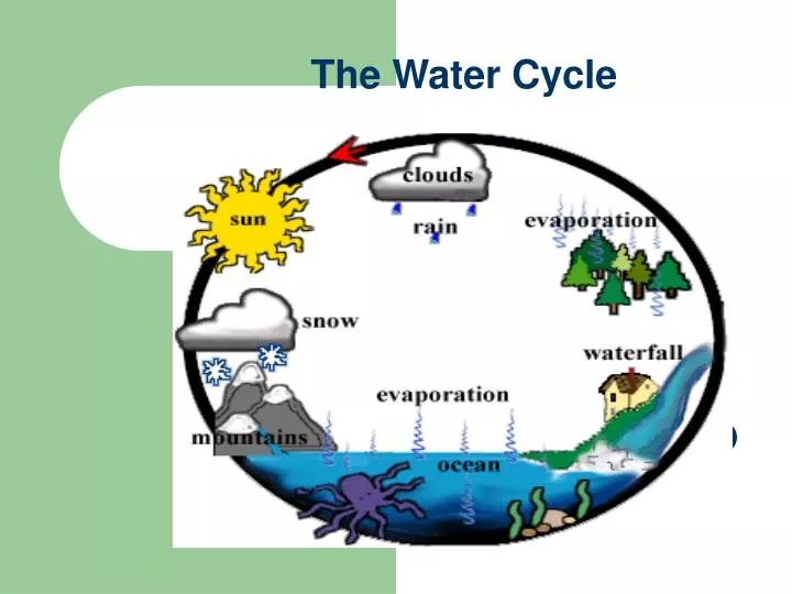 the water cycle n.
