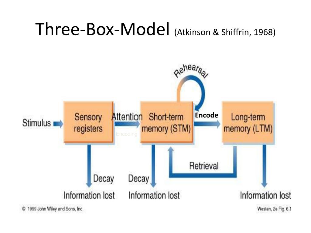 PPT - MEMORY: What can I do to improve it? PowerPoint Presentation ...