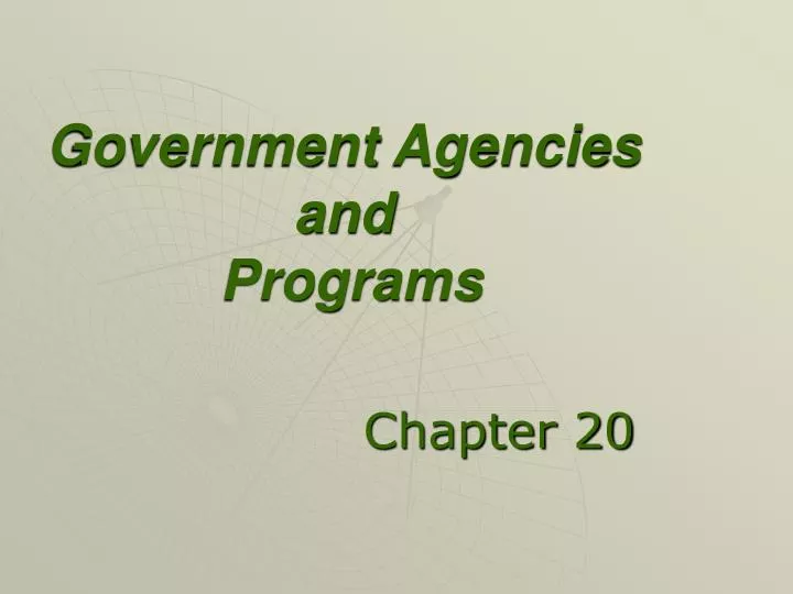 government agencies and programs n.