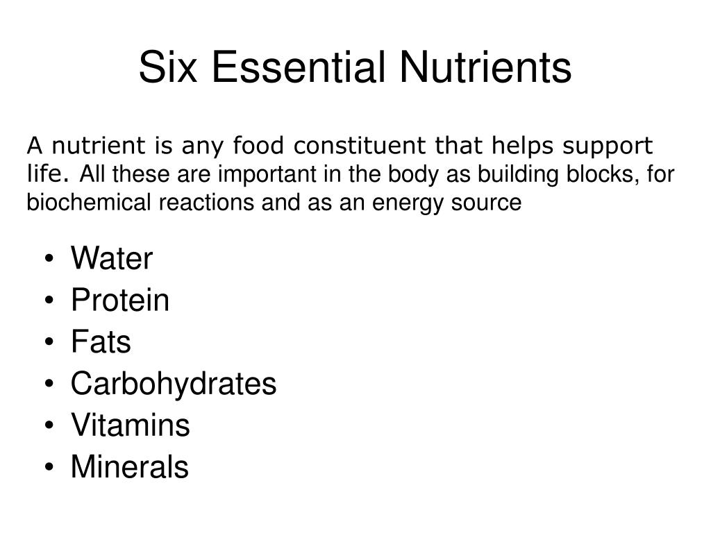 PPT Animal Nutrition PowerPoint Presentation Free Download ID 1454567 animal-feed-essential-nutrients-shivam-chemicals-blog