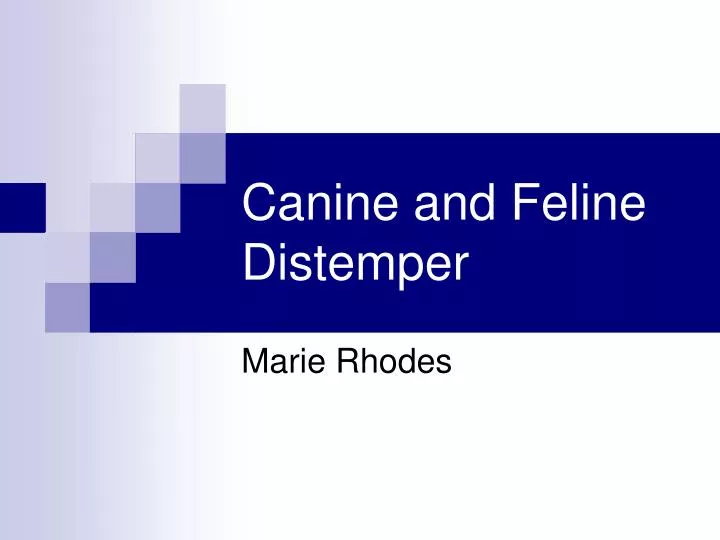 PPT Canine and Feline Distemper PowerPoint Presentation, free