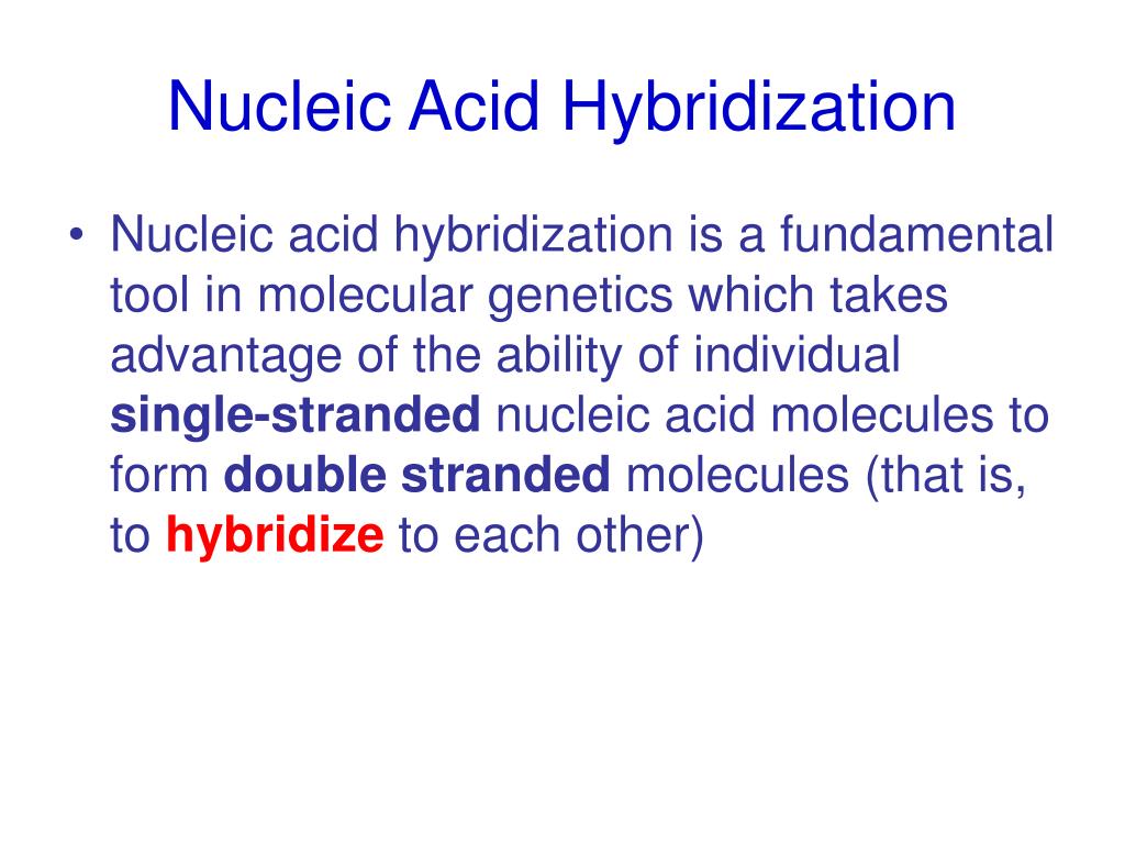 PPT - Nucleic Acid Hybridization PowerPoint Presentation, free download -  ID:1456717