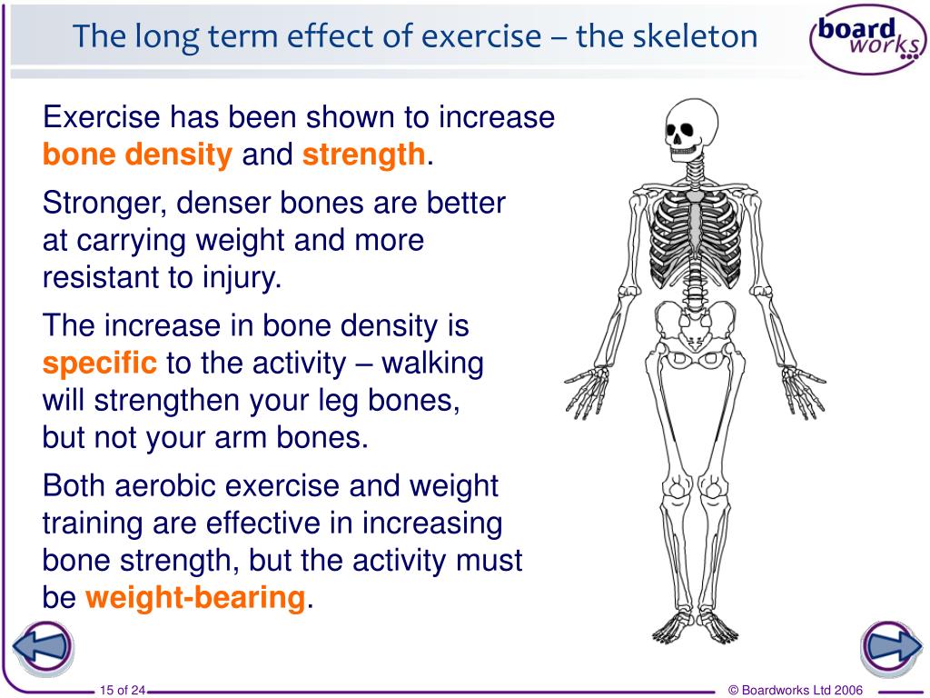 PPT Health, Fitness and Exercise PowerPoint Presentation, free