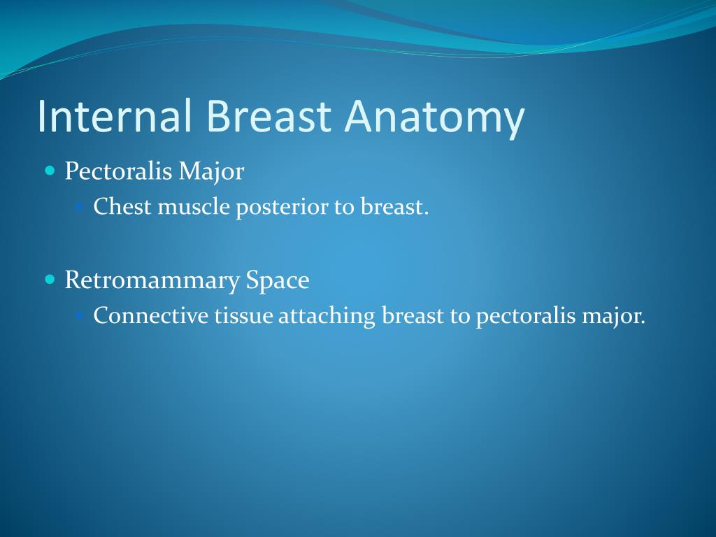 PPT Mammography PowerPoint Presentation, free download ID1458505