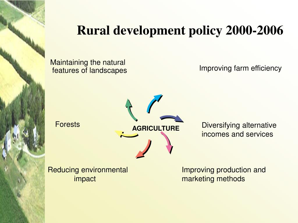 rural development related research topics