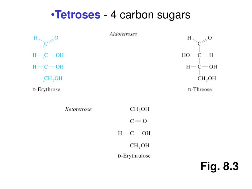 PPT Chapter 8 Carbohydrates PowerPoint Presentation Free Download 