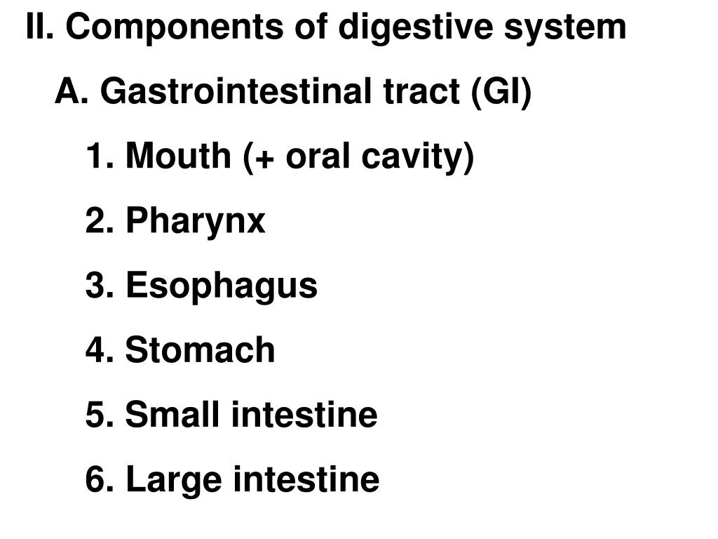 PPT - Digestive System & Aging- Chpt 10 PowerPoint Presentation, free ...