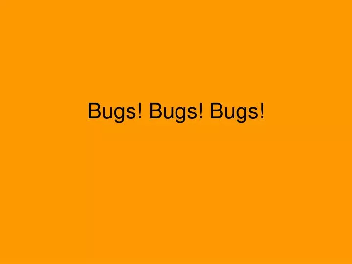 bugs bugs bugs n.