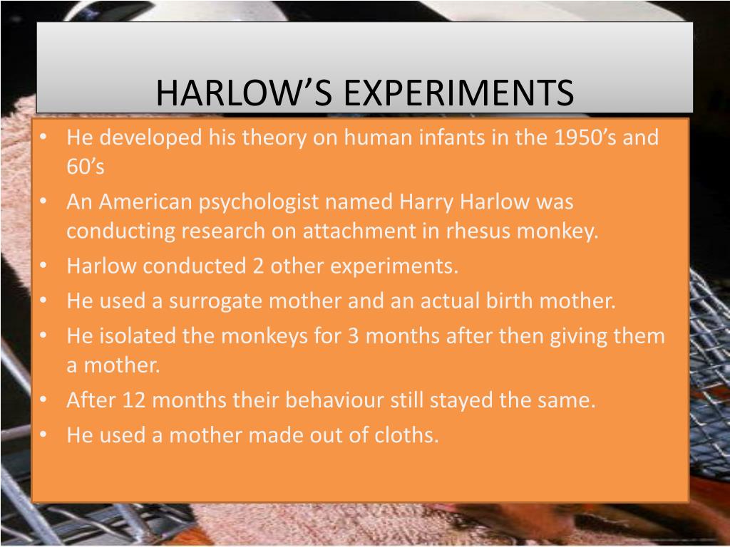 which type of research method did harlow employ