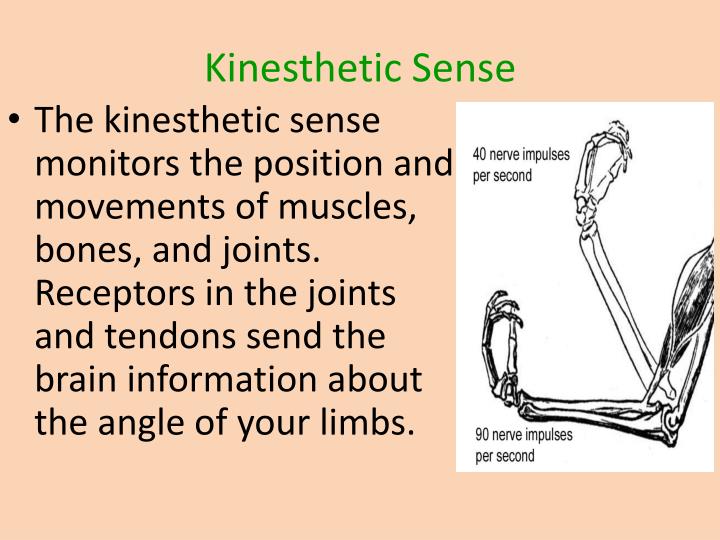 kinesthetic perception definition