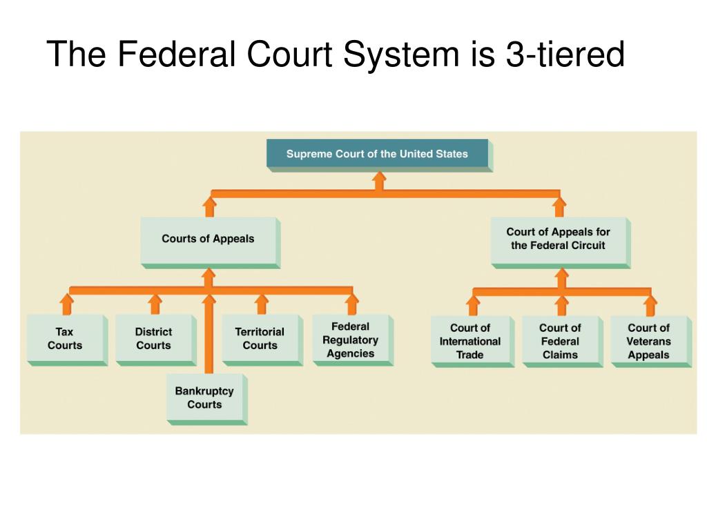 State components. Federal Court System. Judicial System in Russia схема. Political System of Russia схема. Политическая система США на английском.