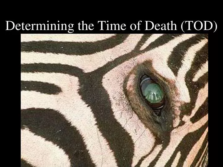 determining the time of death tod n.