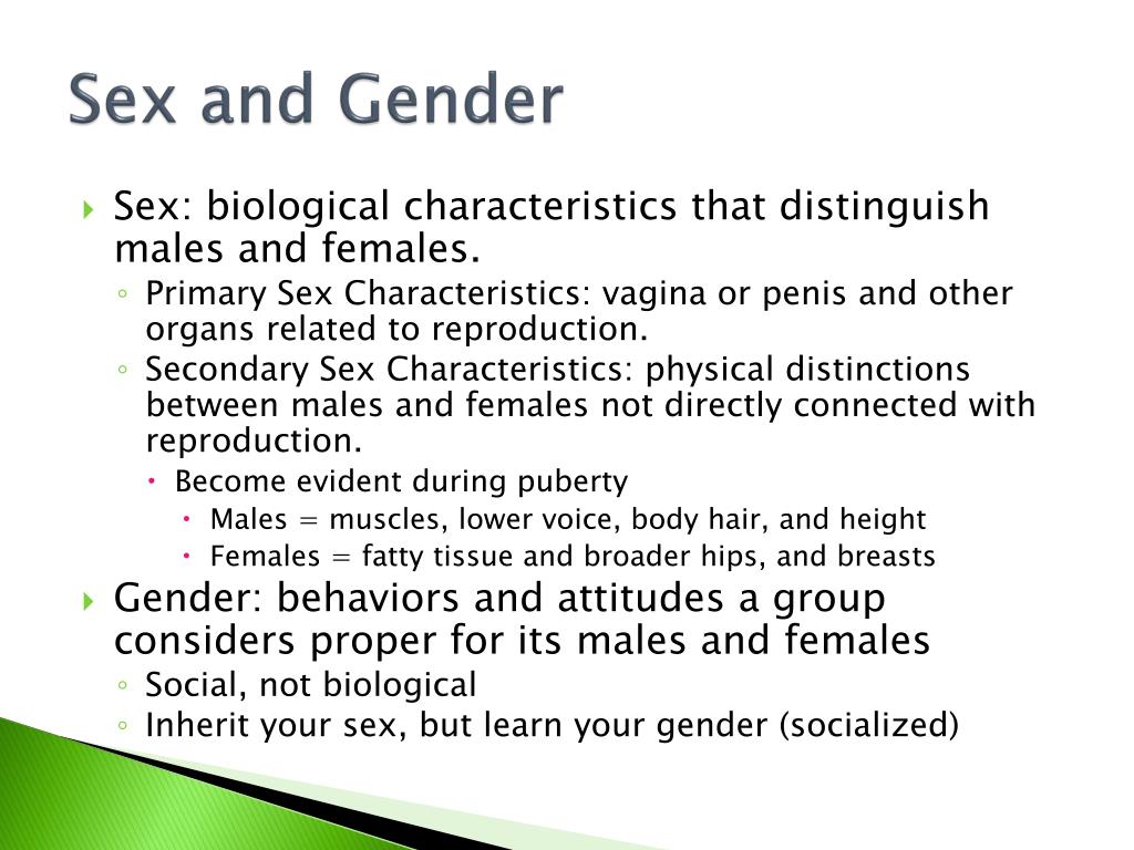 Ppt Gender Stratification Powerpoint Presentation Free Download Id 1462137