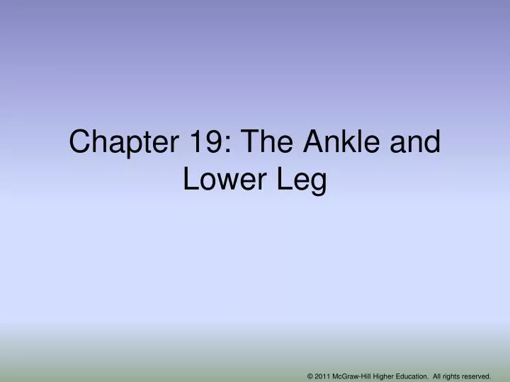chapter 19 the ankle and lower leg n.