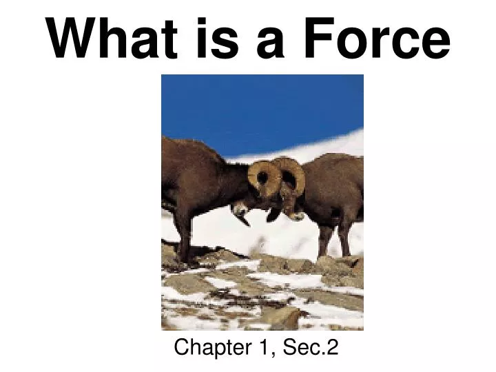 what is a force n.