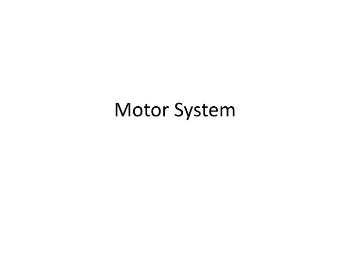 motor system n.