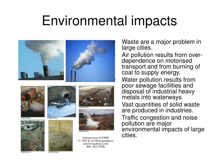 air pollutions essay air pollutions essay