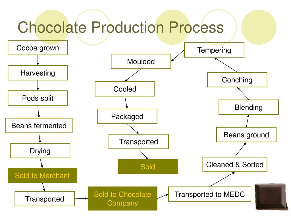 chocolate production business plan pdf