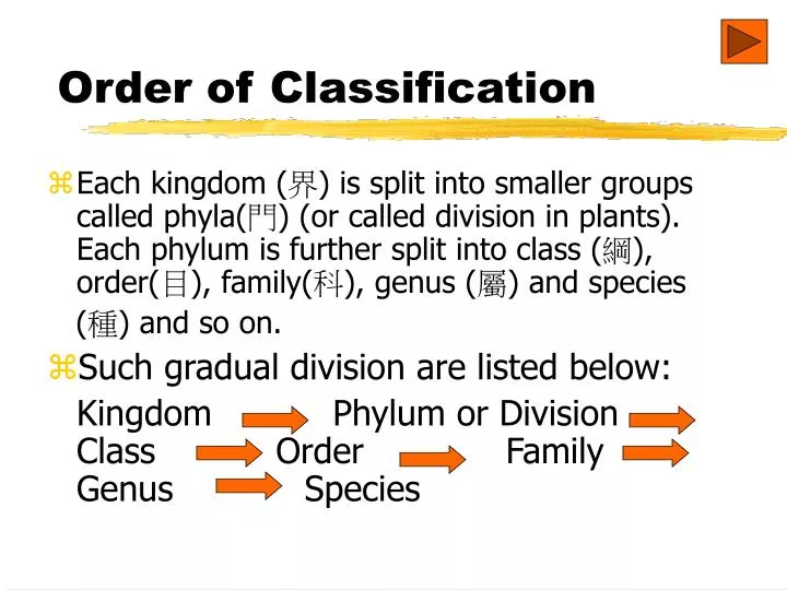 order of classification n.