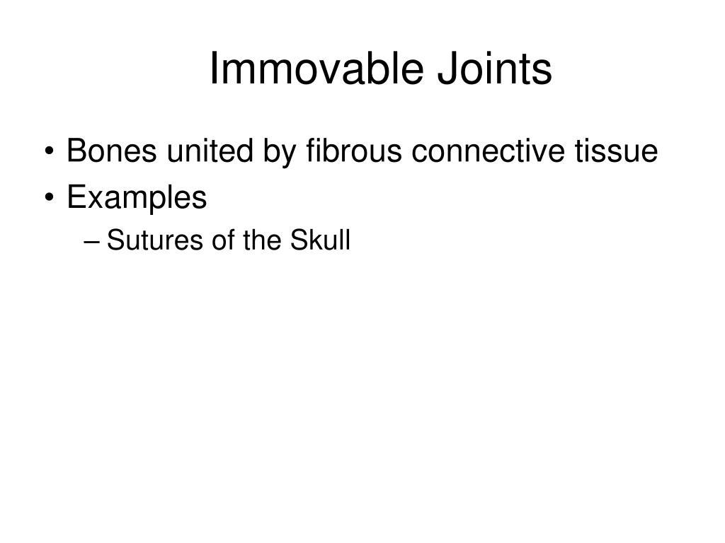 immovable joint between flat bones of the skull united by a thin layer of dense connective tissue immovable joint between flat bones of the skull united by a thin layer of dense connective tissue
