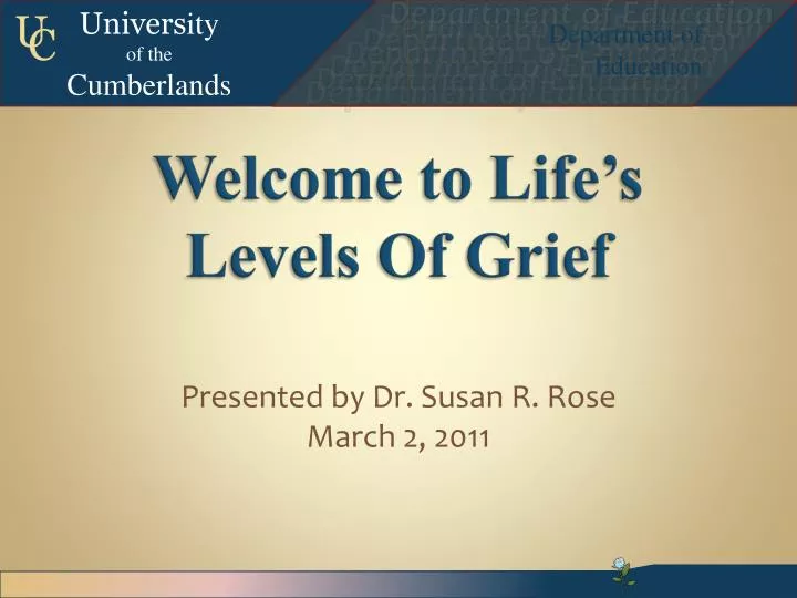 welcome to life s levels of grief n.