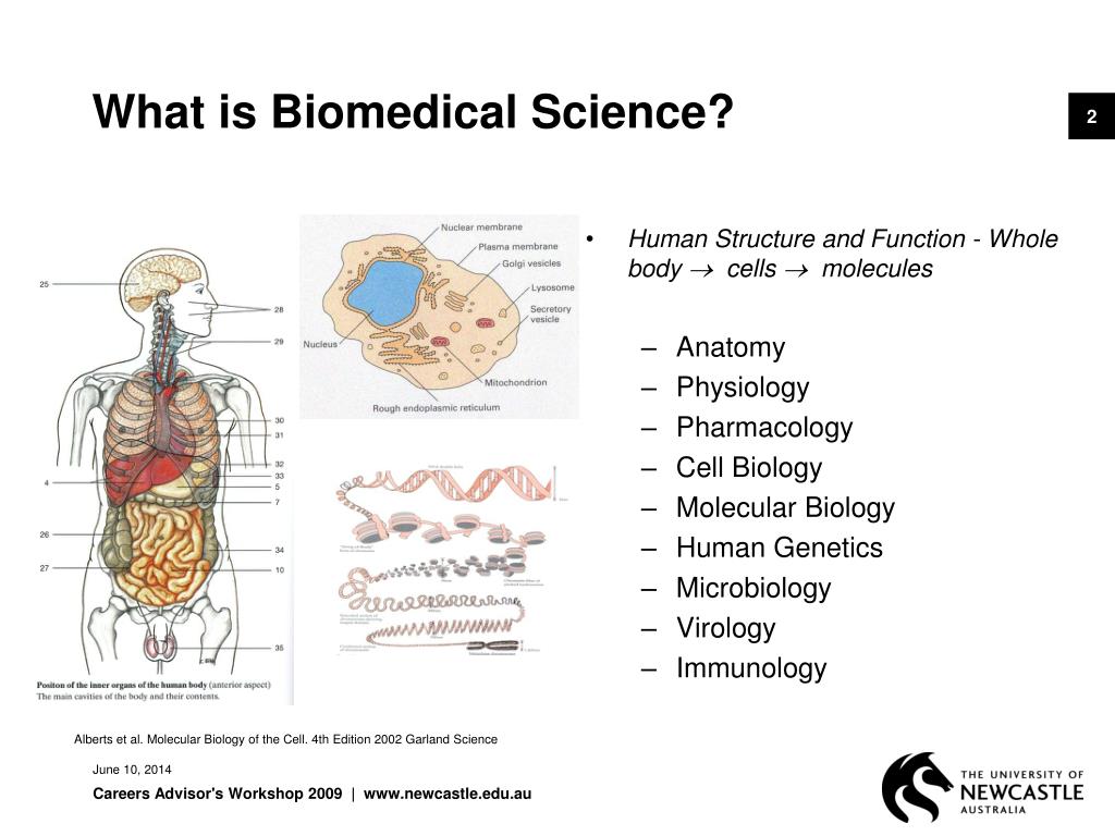 Ppt bachelor of biomedical science powerpoint presentation free