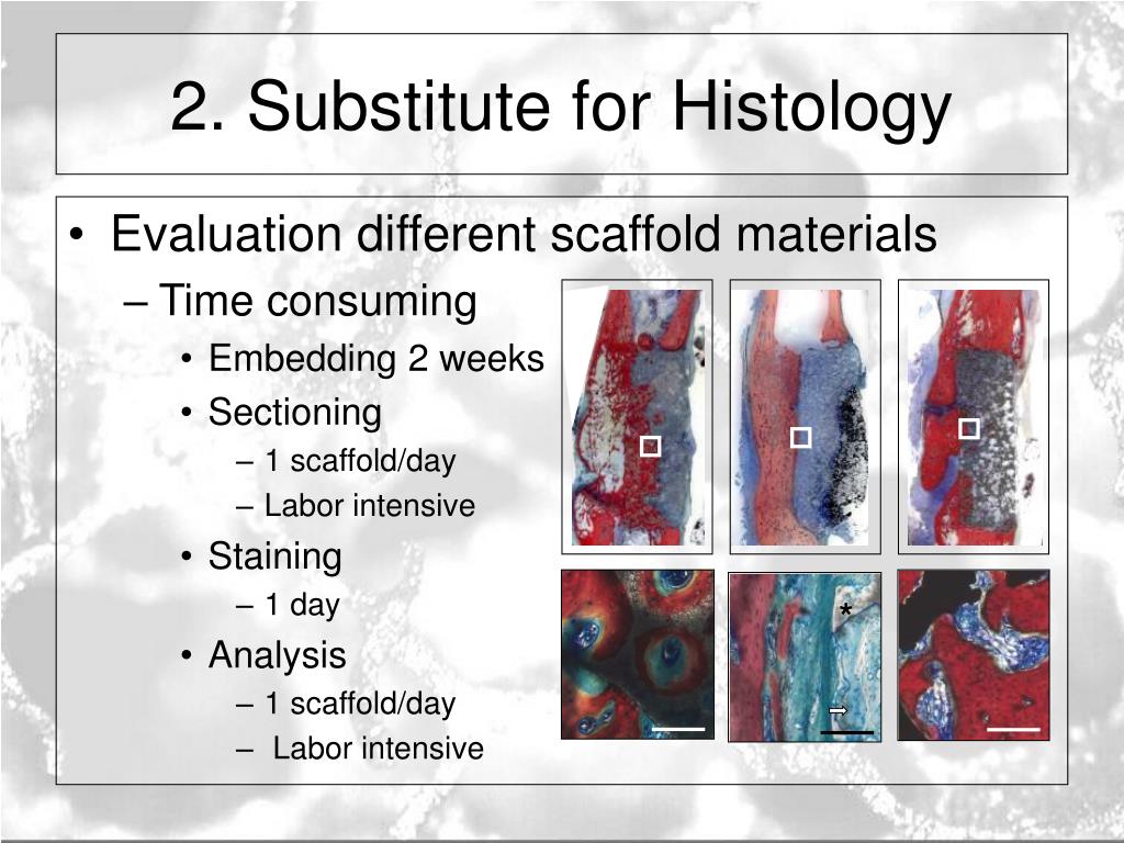 PPT - Characterization of porous scaffold materials for bone tissue ...