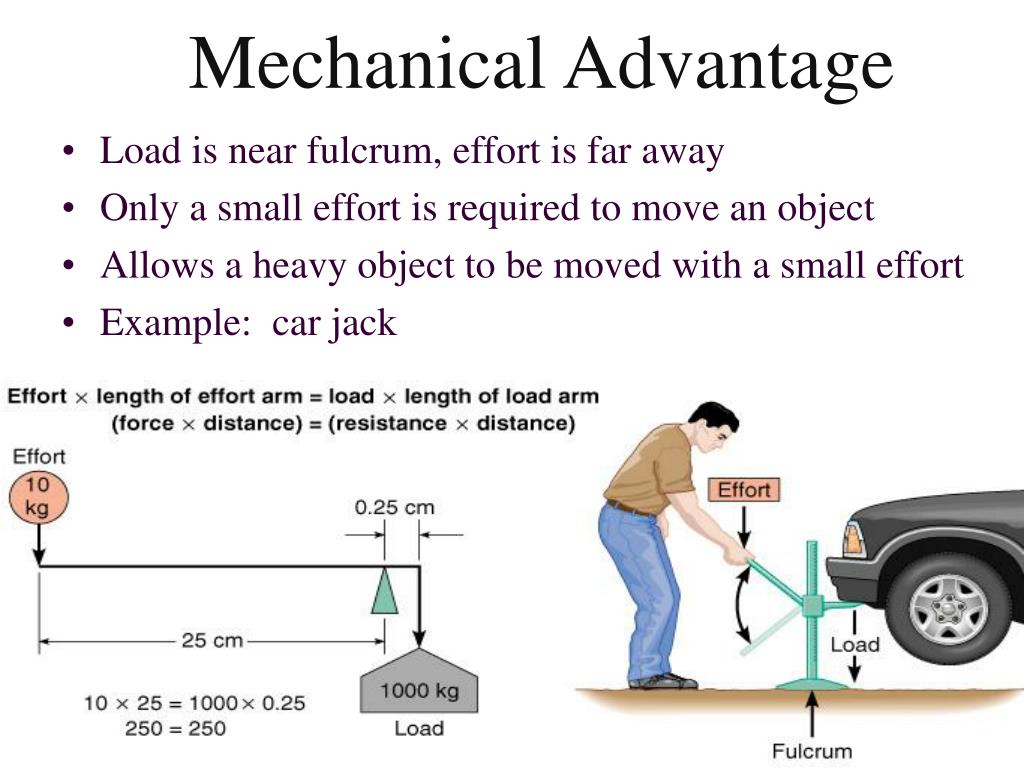 PPT A P The Muscular System Physiology Naming Physics Chapter 6 