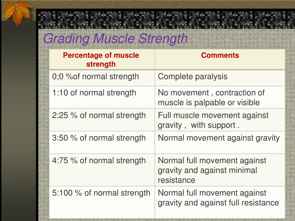 Grading Muscle Control Vrogue co