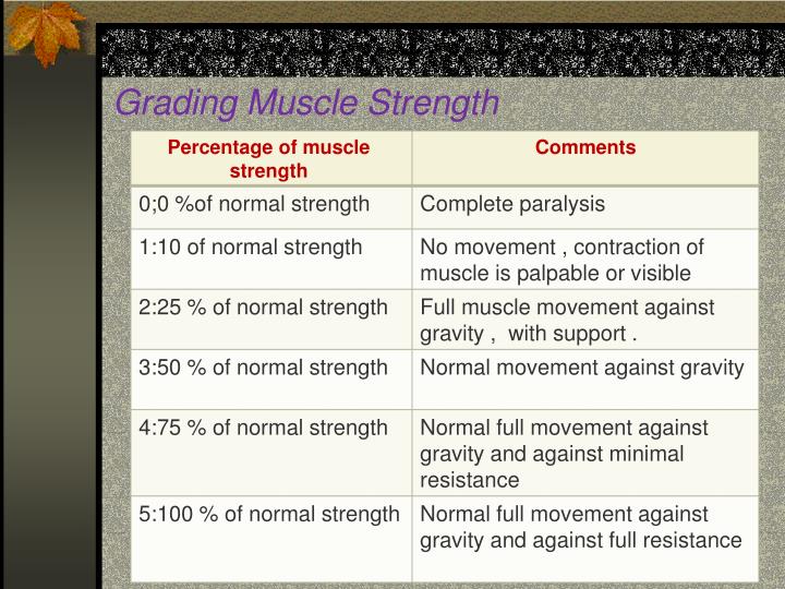 PPT Assessment of Musculoskeletal System PowerPoint Presentation ID
