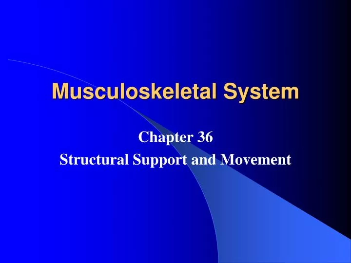 musculoskeletal system n.