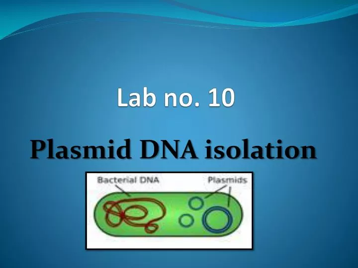 Isolation of dna from sperm