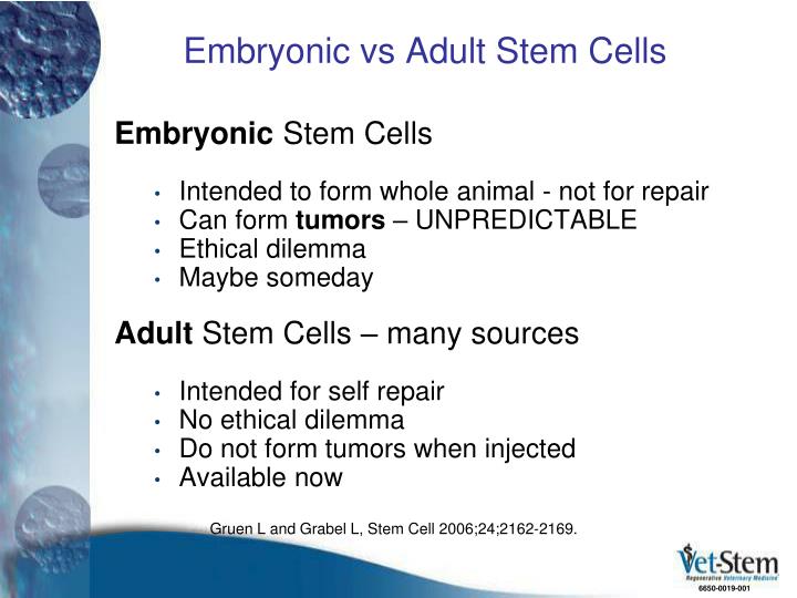 adult vs embryonic stem cells