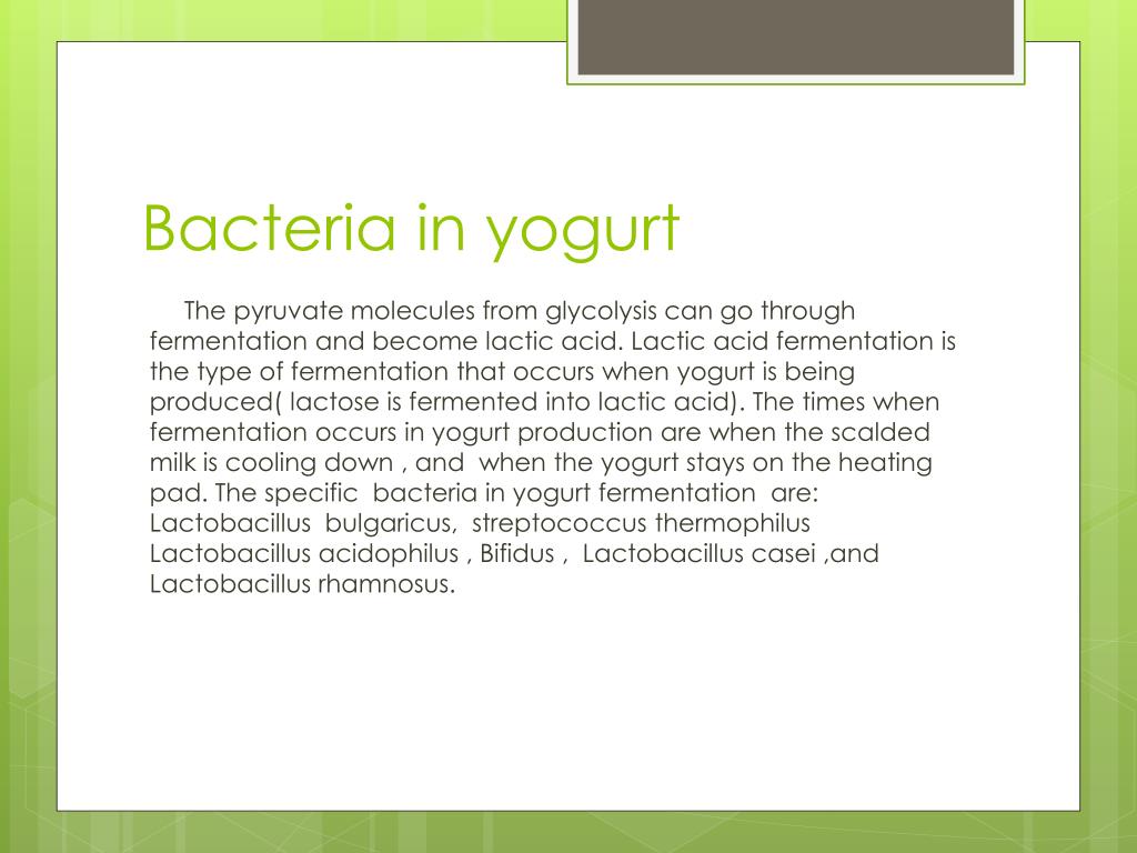 PPT - Bacteria In Yogurt L