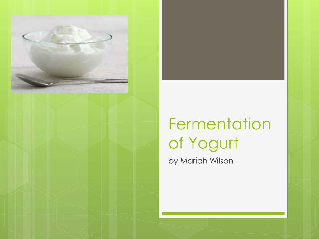 PPT - Fermentation Of Yogurt L