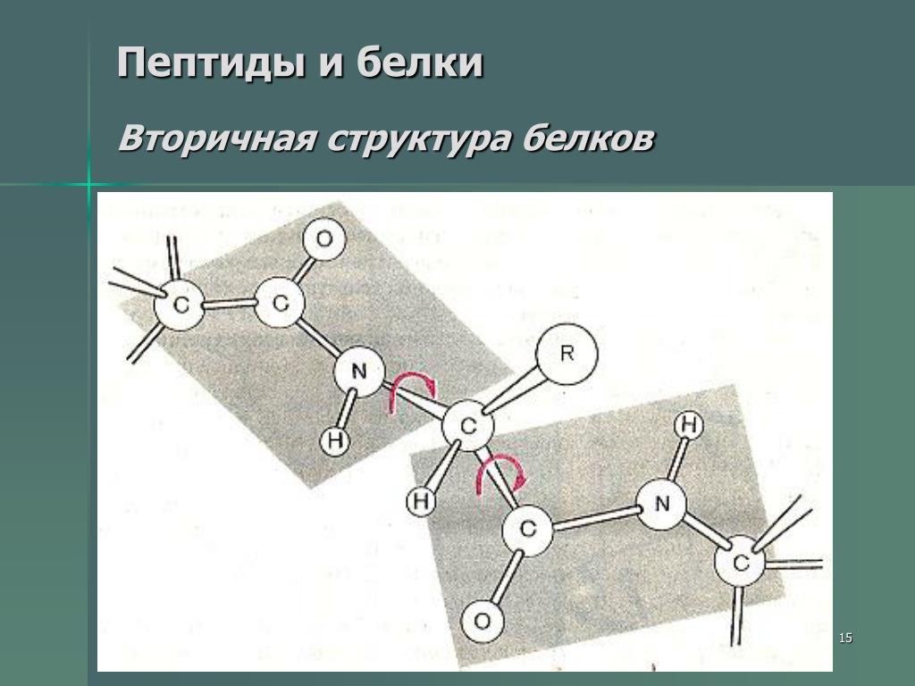 Пептиды 32. Супервторичная структура белка связи. Вторичная структура пептидов. Аминокислота это вторичная структура белка. Сверхвторичная структура белка.