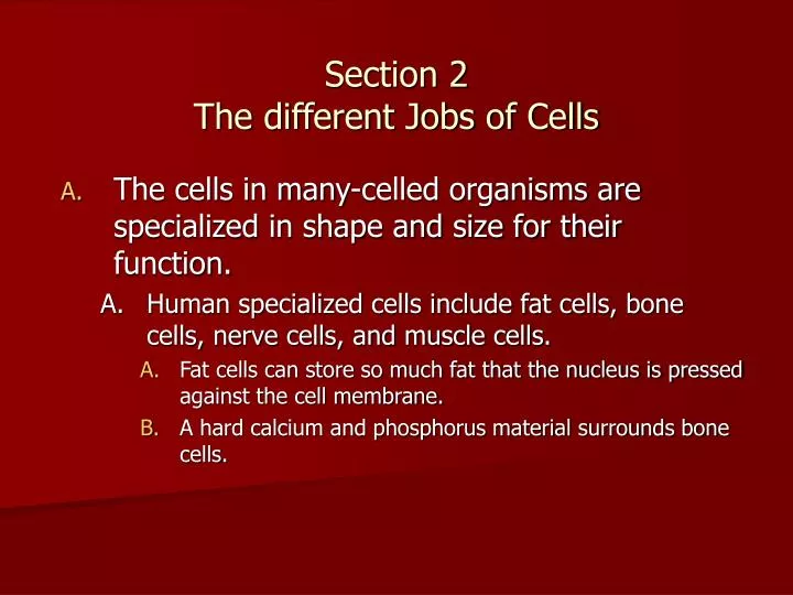 section 2 the different jobs of cells n.
