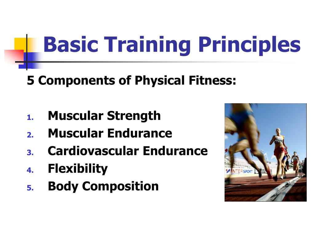 said principle fitness