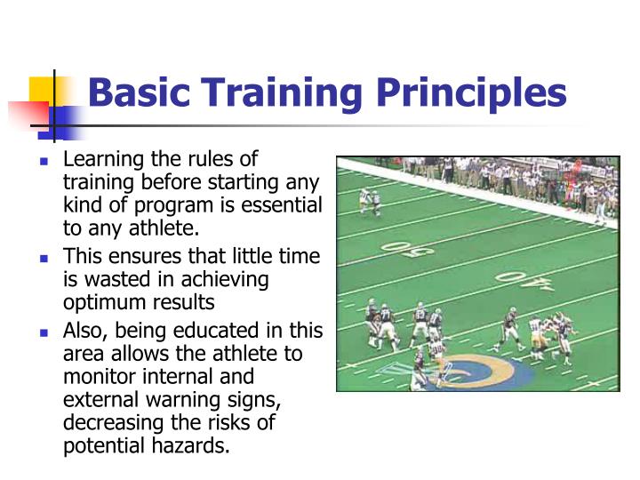 Basic Training Principles – How to Teach a Horse to Lunge: 7 Simple ...