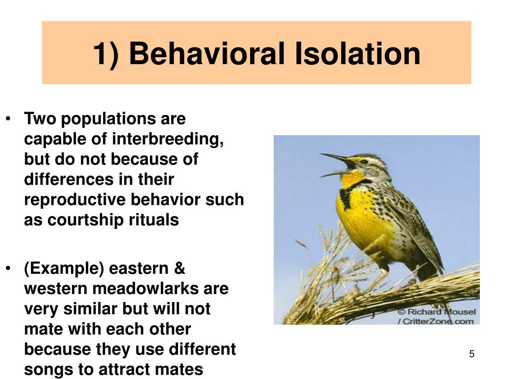 Ppt section 16 3 powerpoint presentation free download id 1474404