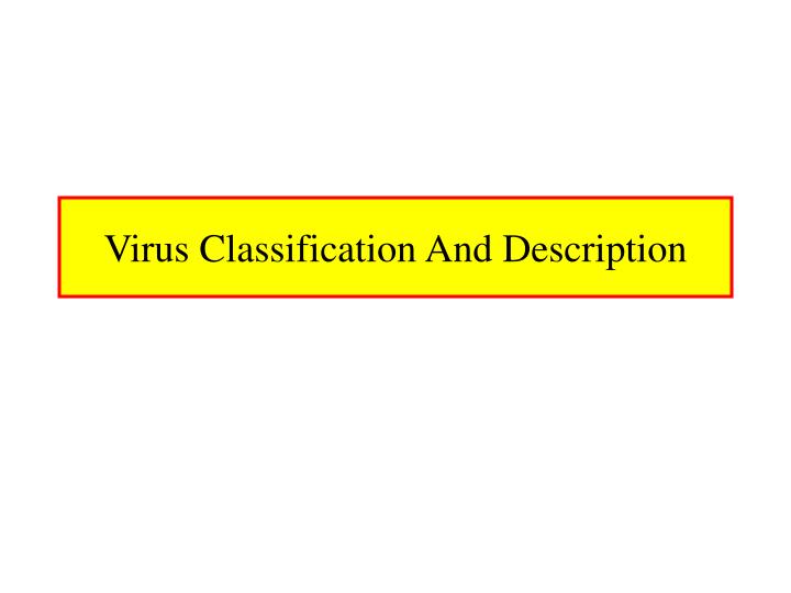 virus classification and description n.