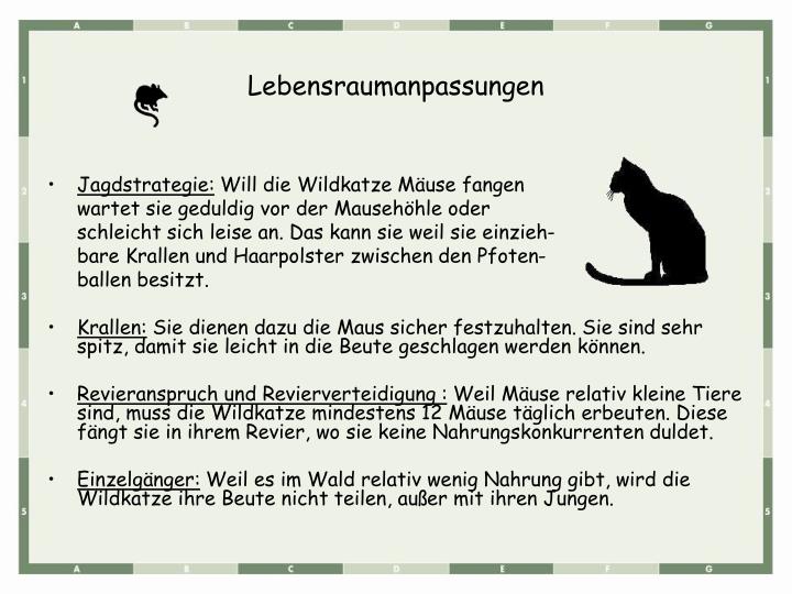 Katzen Können Mäuse Fangen Text