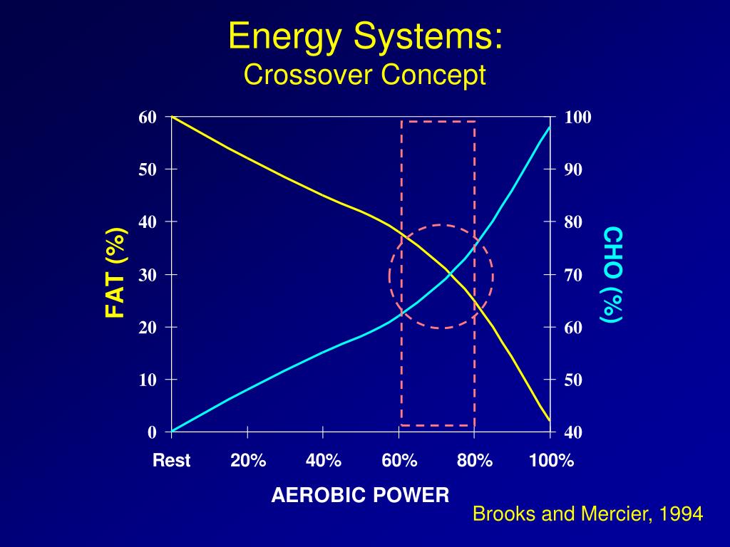 PPT Nutritional Ergogenic Aids for Endurance Sport PowerPoint