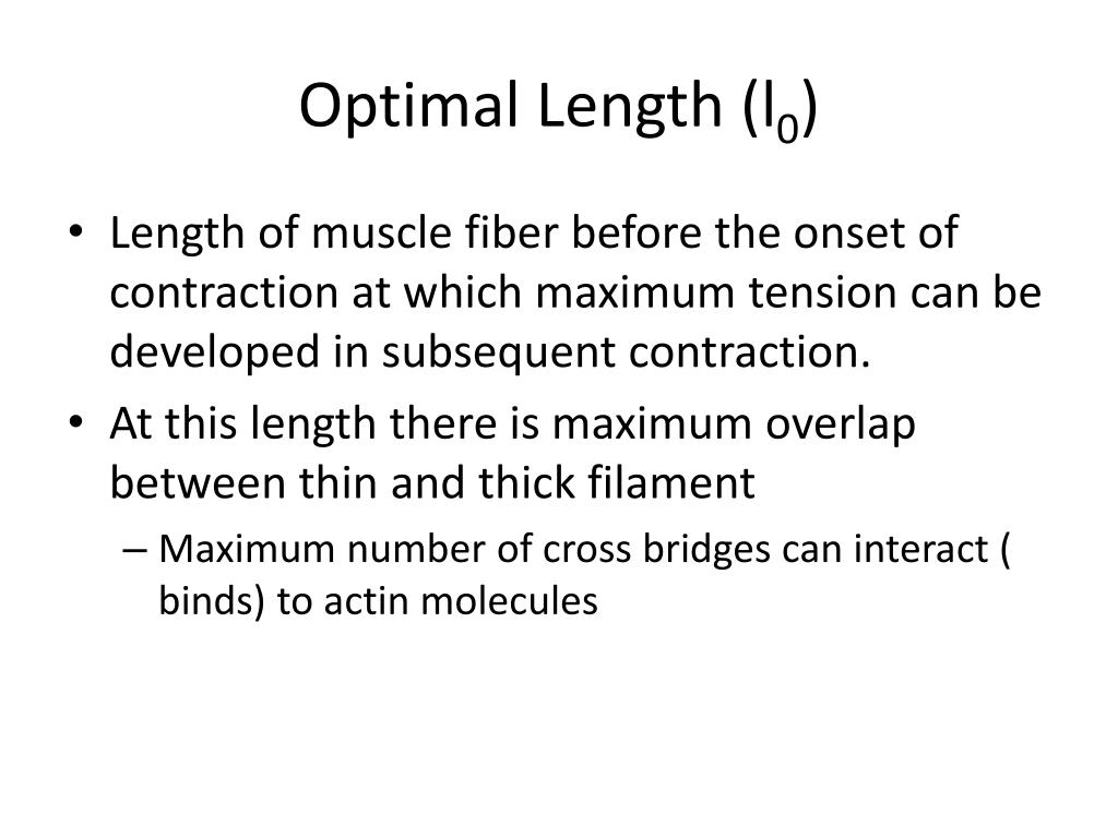 PPT Skeletal Muscle Mechanics PowerPoint Presentation Free Download PPT Skeletal Muscle Mechanics PowerPoint Presentation Free Download