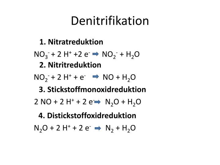 PPT Formeln für die Klausurlimnochemie PowerPoint Presentation ID