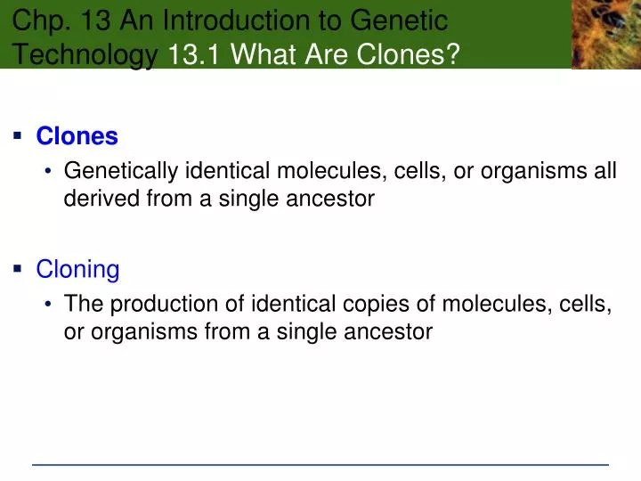 chp 13 an introduction to genetic technology 13 1 what are clones n.