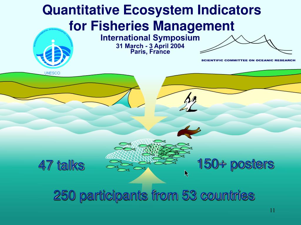 importance of quantitative research in fisheries